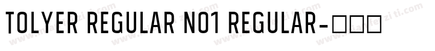 Tolyer Regular no1 Regular字体转换